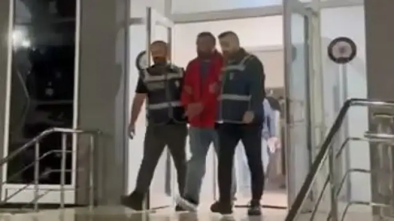 12 yıl önce kaybolan 2 kişi öldürülüp ormana gömülmüş