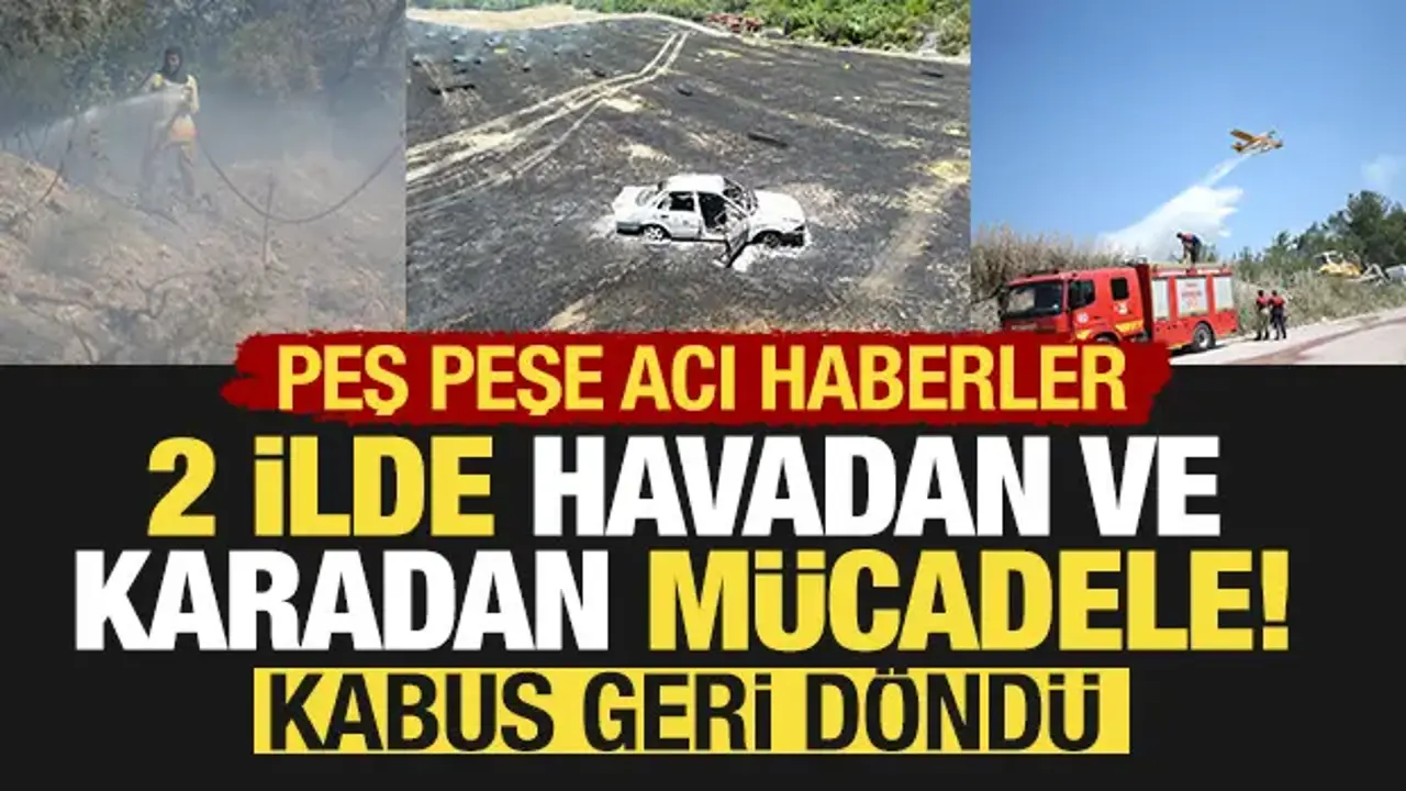 2 ilde canhıraş mücadele: Havadan ve karadan müdahale ediliyor!