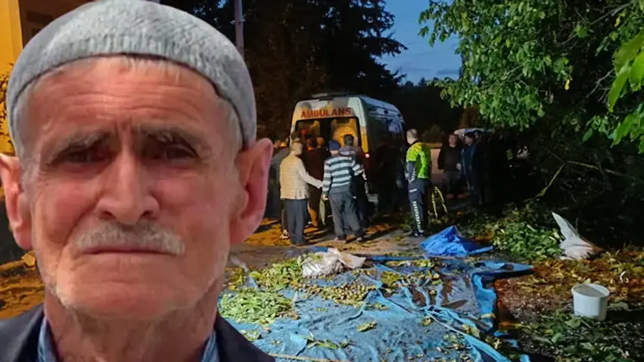 78 yaşındaki adam ceviz ağacından düşüp öldü