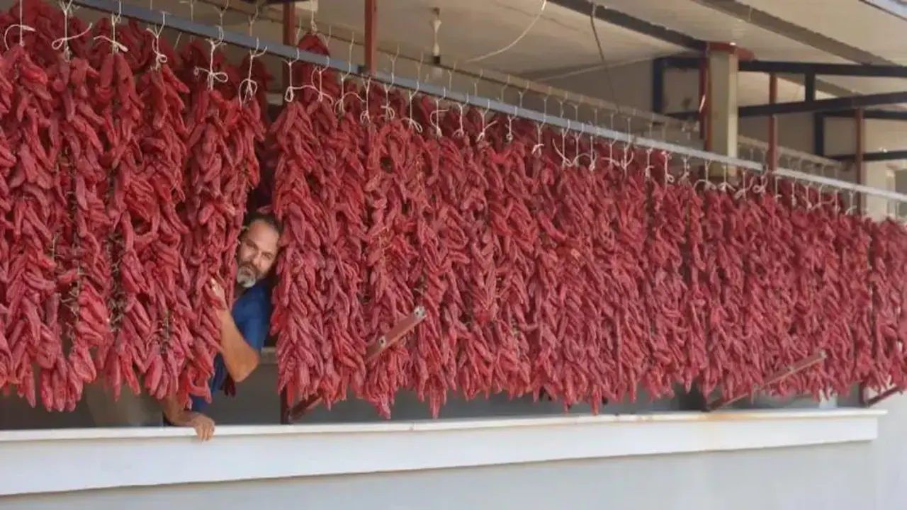 Acısı zehir, kazancı tatlı: Demeti 500 TL'den satılıyor!