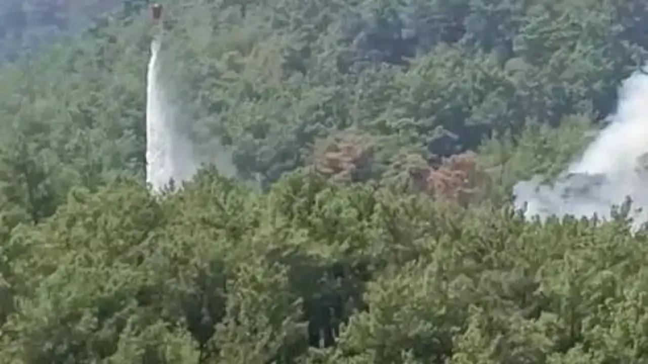 Adana Kozan'da yeniden yangın!