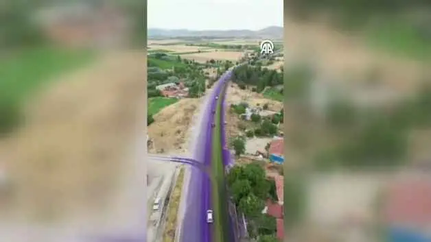 Afyonkarahisar'da araçları morartan iki şirkete 21 milyon ceza