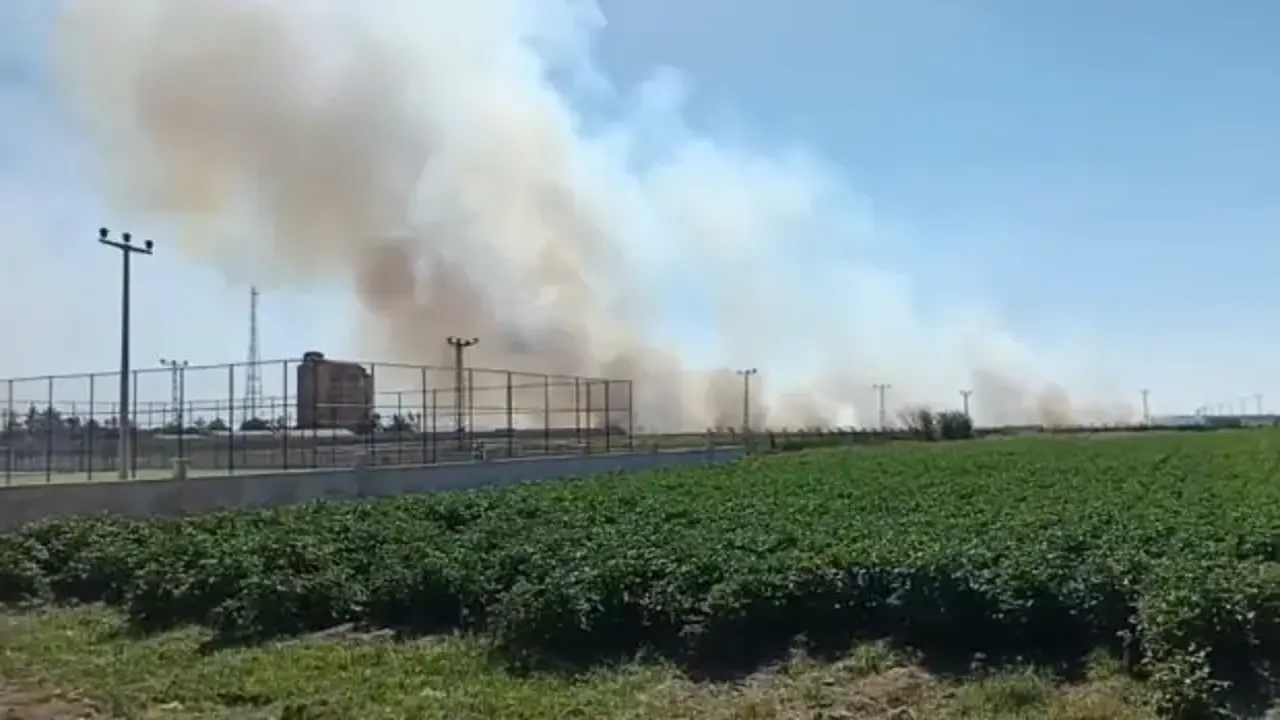 Akçakale sınır hattındaki mayınlı alanda yangın endişelendirdi
