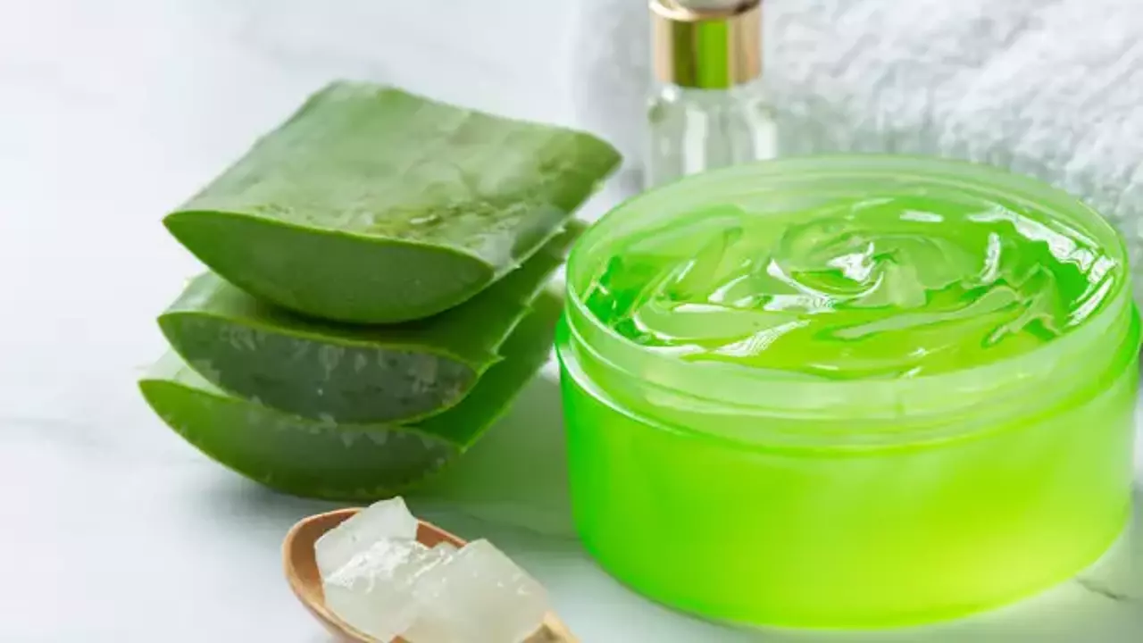 Aloe Vera Jeli: Güneşin Panzehiri