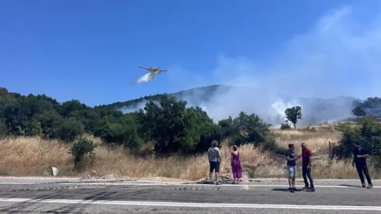 Ayvacık'ta orman yangını kontrol altına alındı