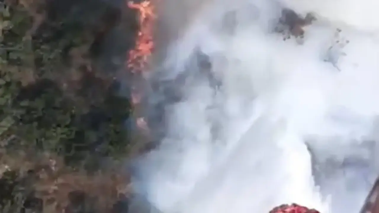 Balıkesir'de kamyondaki yangın ormana sıçradı