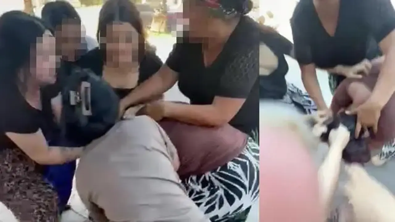 Bebeğini korumak için kendini feda etti: Saldırgan 6 kadın serbest