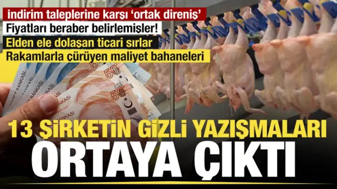 Beyaz et karteline operasyon: Kayyum atanan 13 şirketin gizli yazışmaları raporlarda!