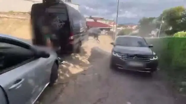 Beykoz'da dev uyuşturucu operasyonu: 409 kilo skunk ele geçirildi