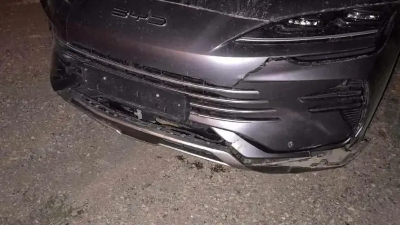 Bilecik'te otomobilin çarptığı domuzlar telef oldu