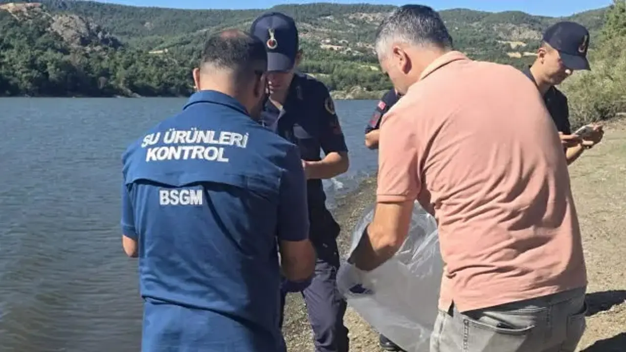 Çanakkale'de barajdaki balık ölümlerine inceleme