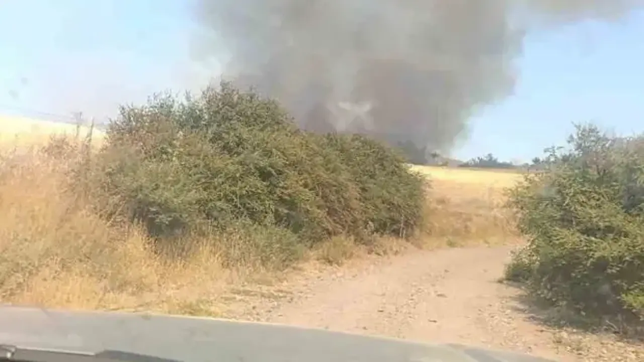 Çanakkale'de orman yangını