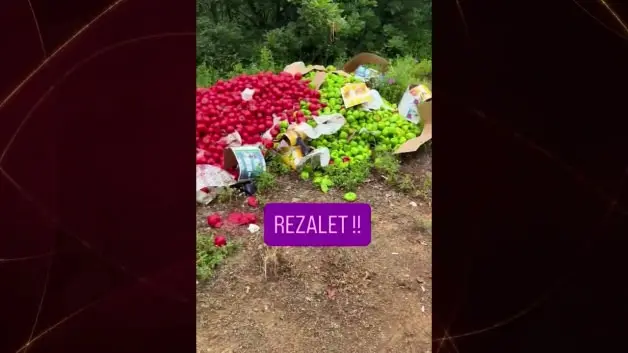 Çanakkale'de vicdan sızlatan görüntü: Kilolarca sağlam sebze ormana döküldü