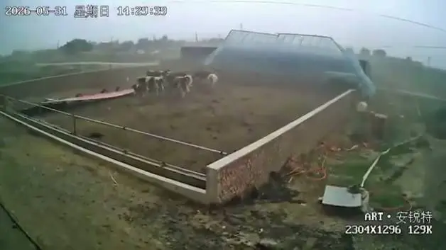 Çin'in Harbin kentini kum fırtınası vurdu!