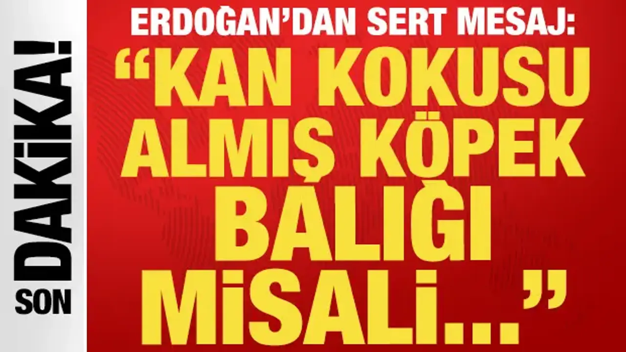 Cumhurbaşkanı Erdoğan: Mazlumun dili, dini, mezhebi sorulmaz