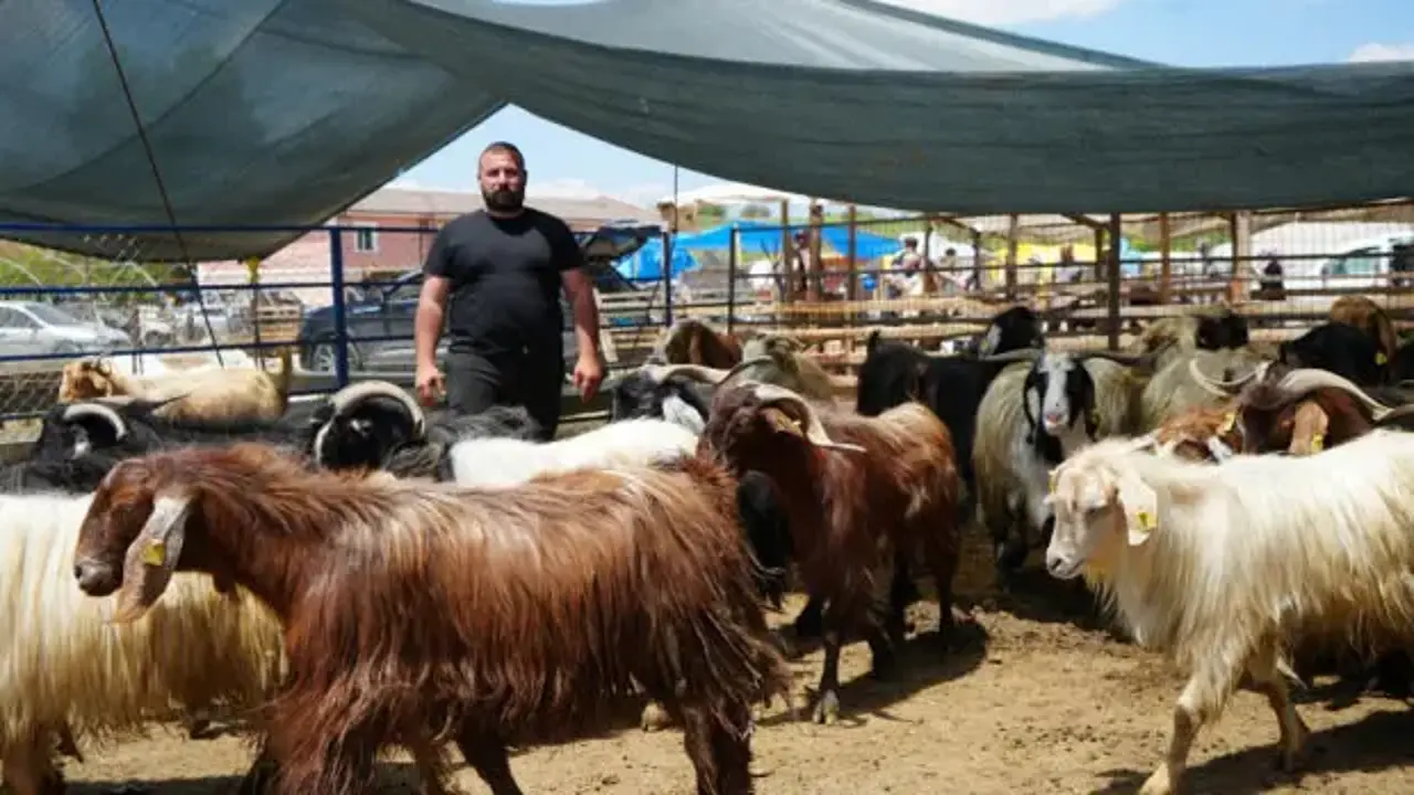 Dedikleri fiyata verdik, milleti kurbansız göndermedik