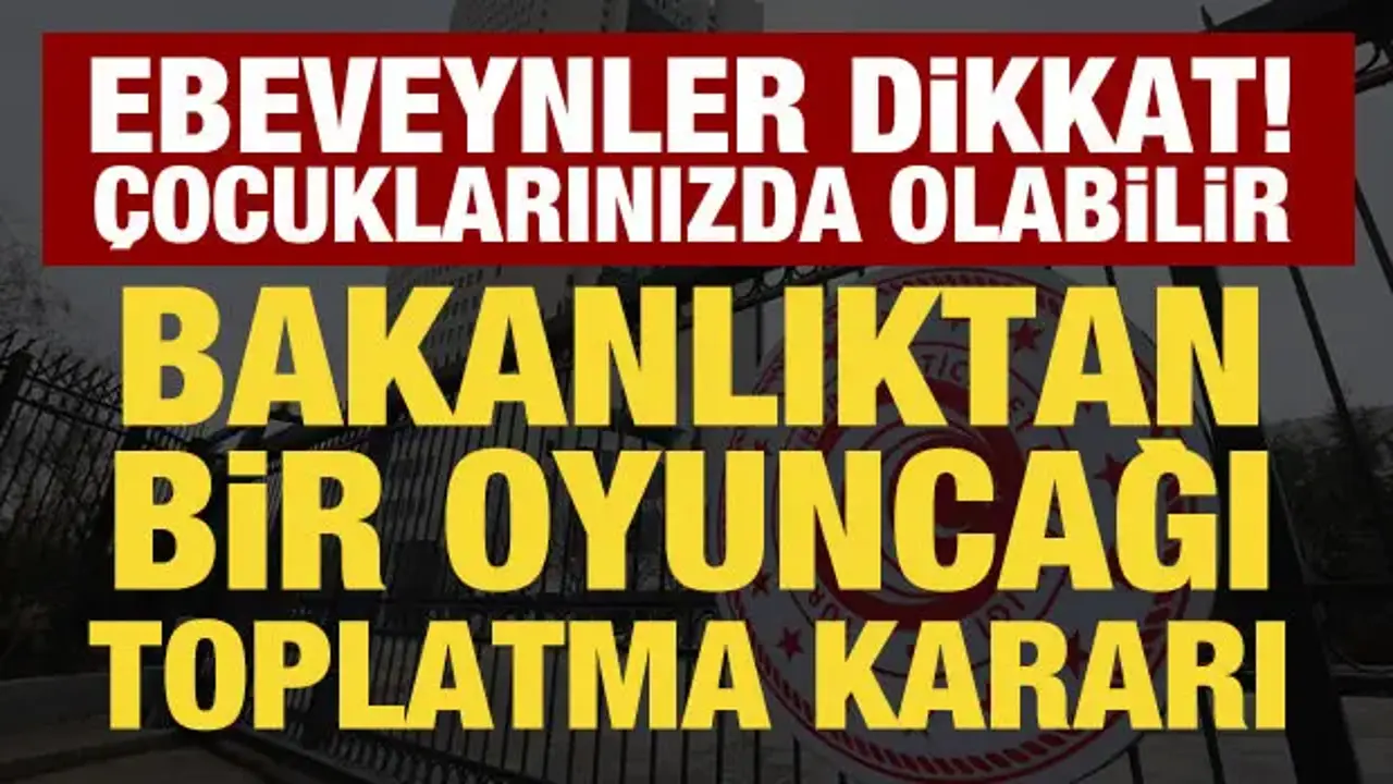 Dikkat! Çocuklarınızda olabilir: Bakanlıktan 'peluş kaz' oyuncağını toplatma kararı