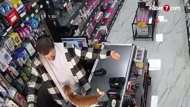 Esnafın hayat kurtaran şefkatine kediden her gün vefa sarılması
