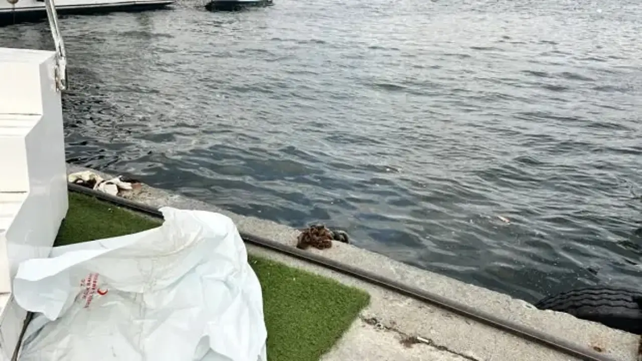 Fatih'te denizde erkek cesedi bulundu