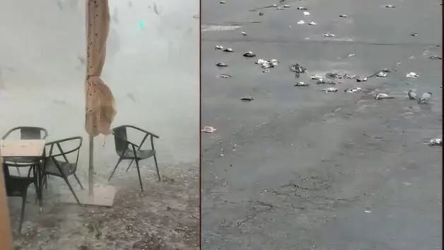 Fırtına ve dolu yağışı İspanya'yı savaş alanına çevirdi