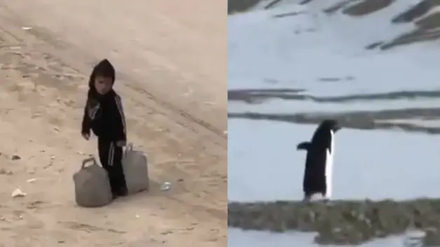 Gazze'de çocuk olmak... Bir penguen kadar konuşulmayacak
