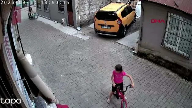 Giresun'da 7 yaşındaki Nehir'in bayrak sevgisi kamerada