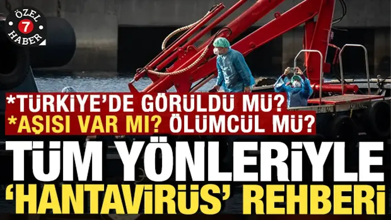 'Hantavirüs' rehberi: Türkiye'de görüldü mü, nasıl bulaşıyor, aşısı var mı, ölümcül mü?