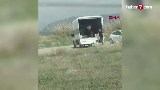 Hatay'da koruma altındaki kuş cennetine kamyonetle köpek bıraktılar