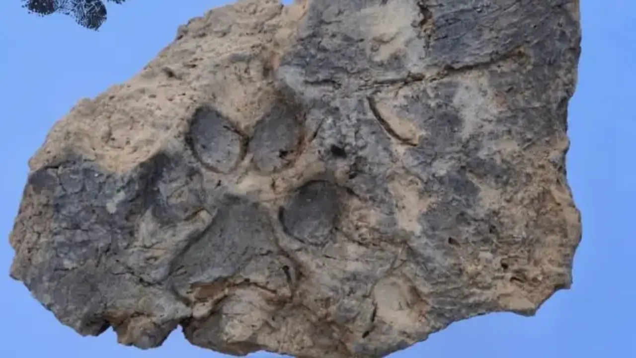 Höyük'te 4 bin yıllık pati izi bulundu