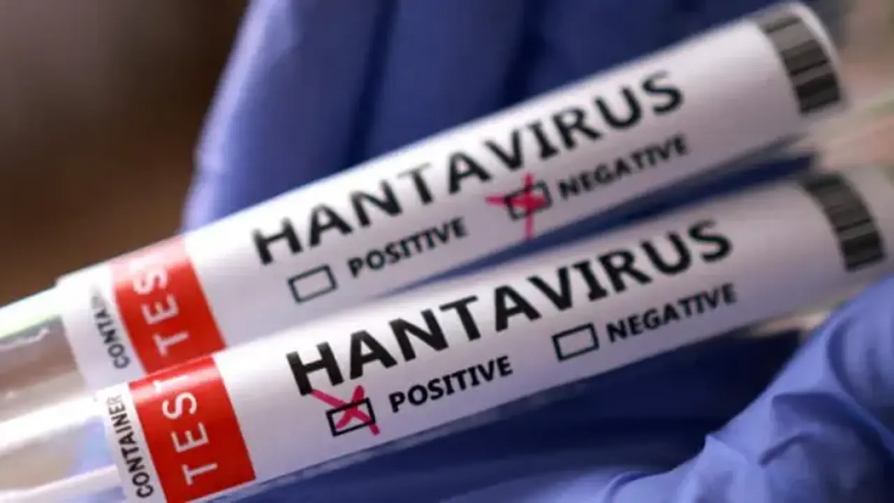 İngiltere'de yeni hantavirüs vakası!