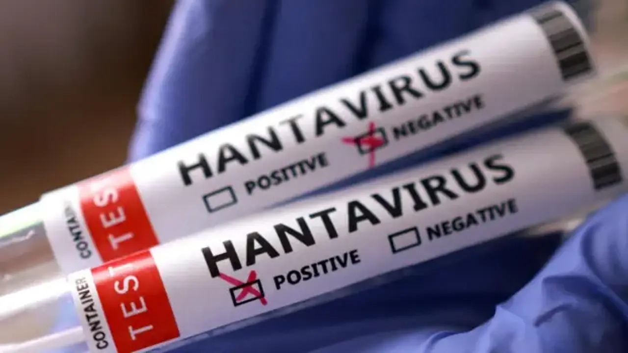 İsrail'de hantavirüs alarmı! İlk vaka kaydedildi
