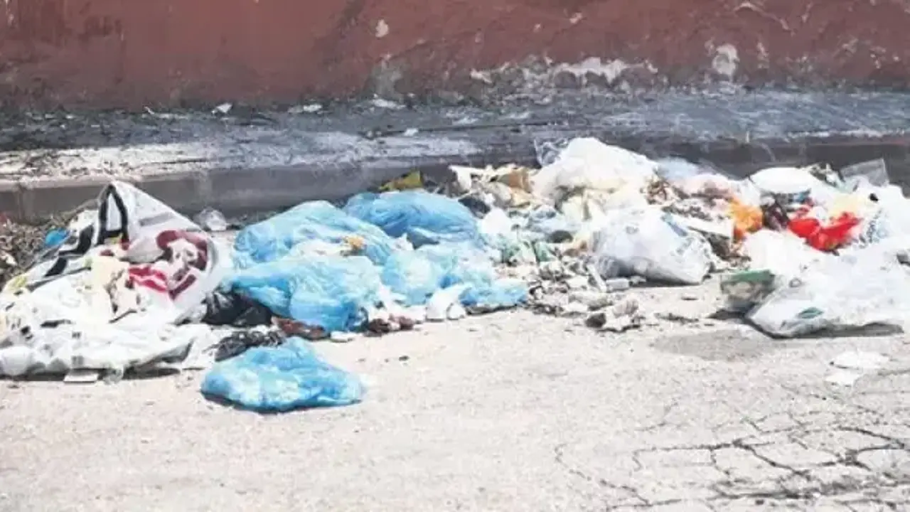 İsyan ettiren çöp rezaleti