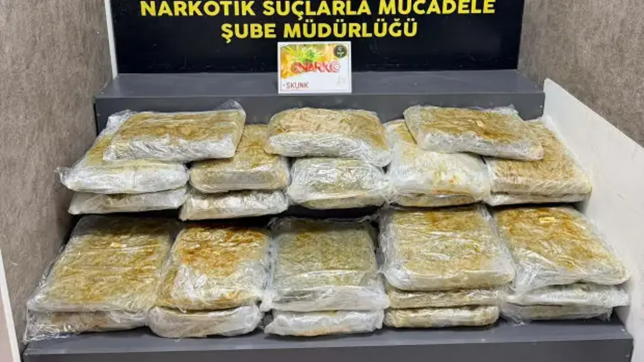 İzmir'de 29 kilo 800 gram skunk ele geçirildi