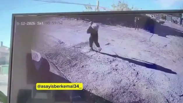 Kemerburgaz'da köpeklerin saldırdığı yaşlı adam son anda kurtardılar