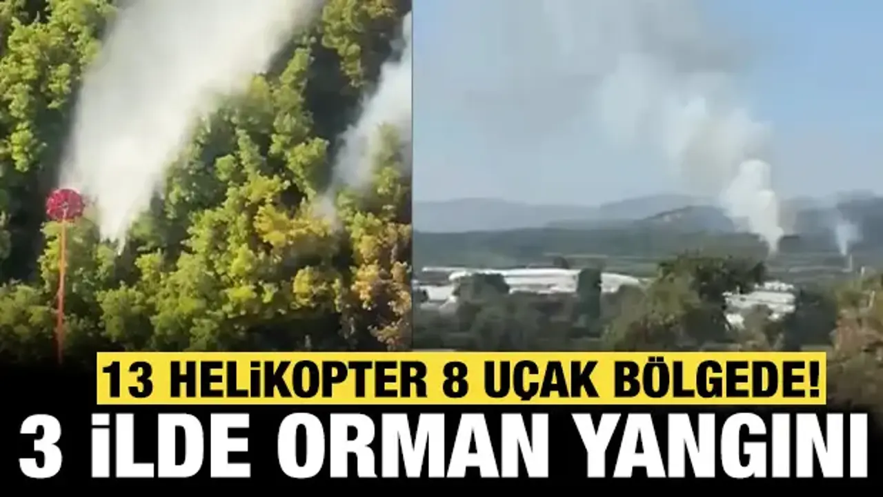 Manavgat'ta orman yangını: 75 personel bölgede!