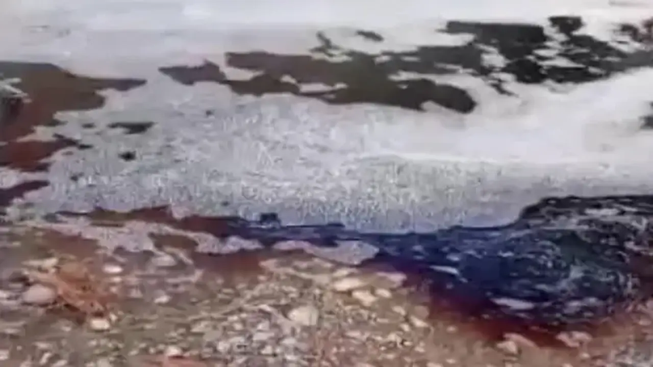 Marmara Denizi'nde kırmızı alarm! Deniz yüzeyi bir anda renk değiştirdi