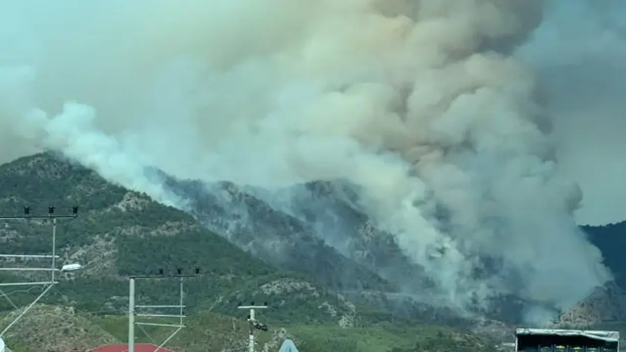 Mersin'de orman yangını! Müdahale devam ediyor