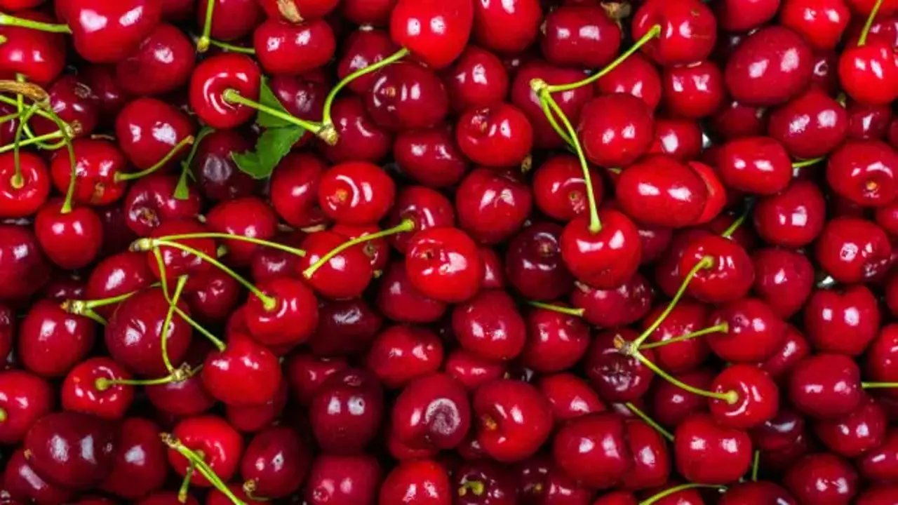 Ölüm nedenleri tam olarak bilinmiyor: En son bahçe kirazı yemişlerdi