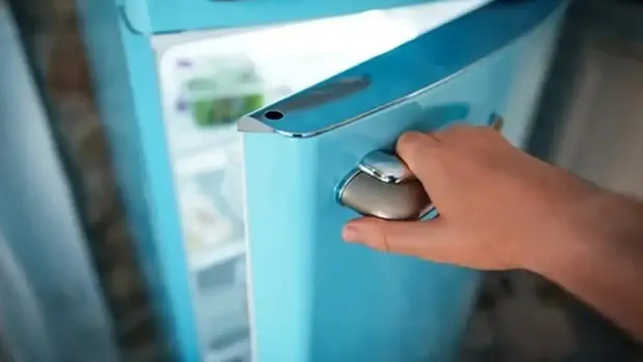 Sakın koymayın: Yiyenlere ciddi zarar veriyor! Yemeğinizi anında bozuyor