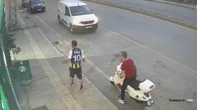 Samsun'da kediye tekme atan vicdansız şahıs yakalandı