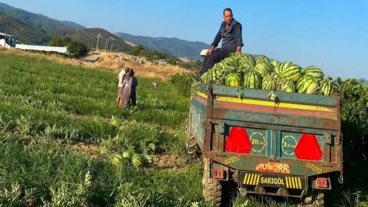 Sarıgöllü üreticiden 