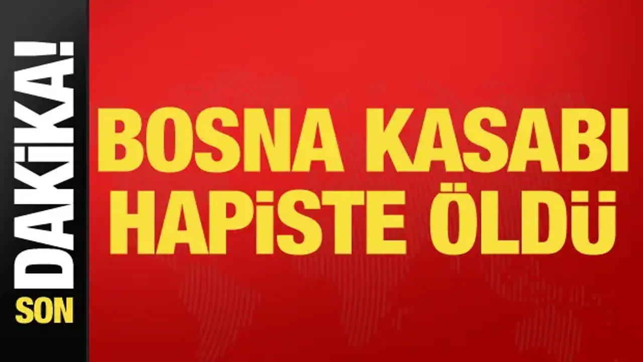 Son dakika... Bosna kasabı Mladiç öldü