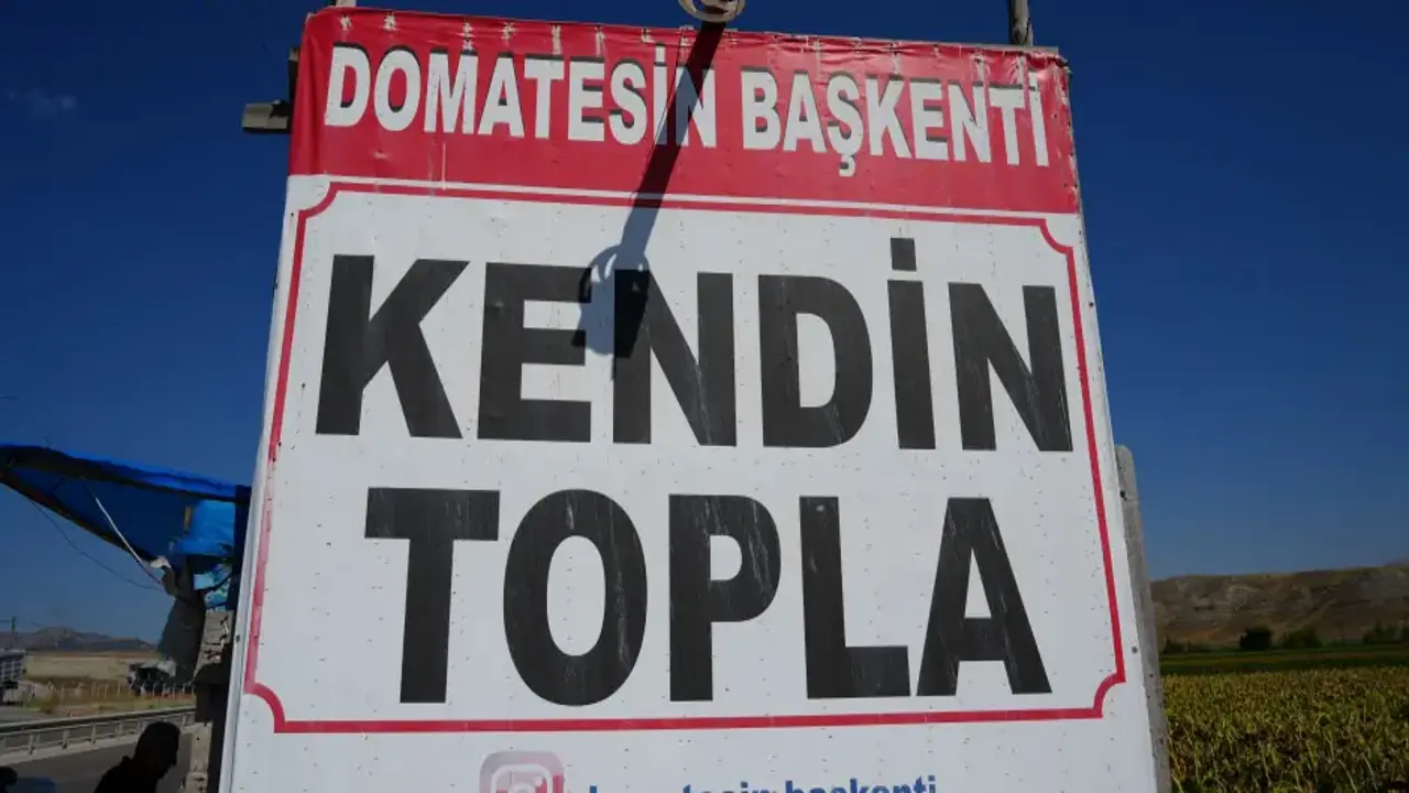 Tabelayı gören tarlaya koşuyor: Gelenek 10 yıldır devam ediyor