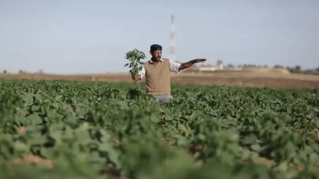 Tarlada çalışan çiftçi İHA ile hedef alındı