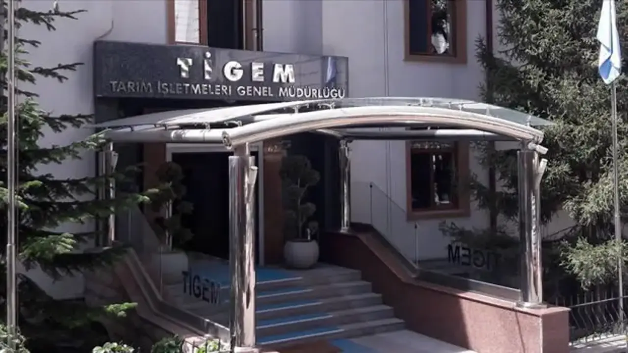 TİGEM 20 bin kilogram karkas sığır eti satacak