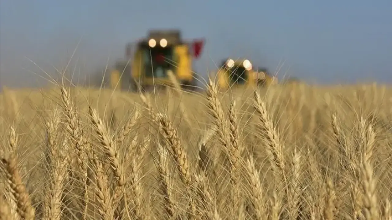 TMO'da ilk hububat ödemeleri çiftçilerin hesaplarına yatırıldı