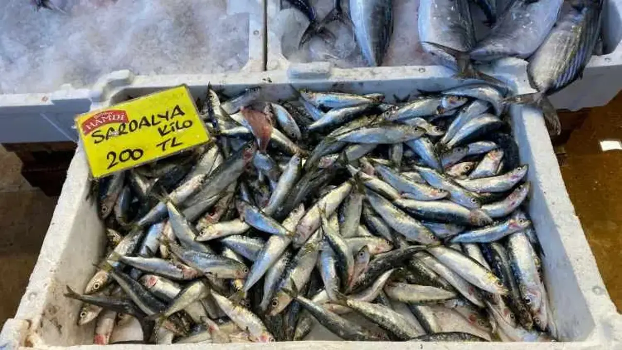 Tüm tezgahları süsledi! Fiyatı dibi gördü: Türkiye'deki en ucuz yiyecek...