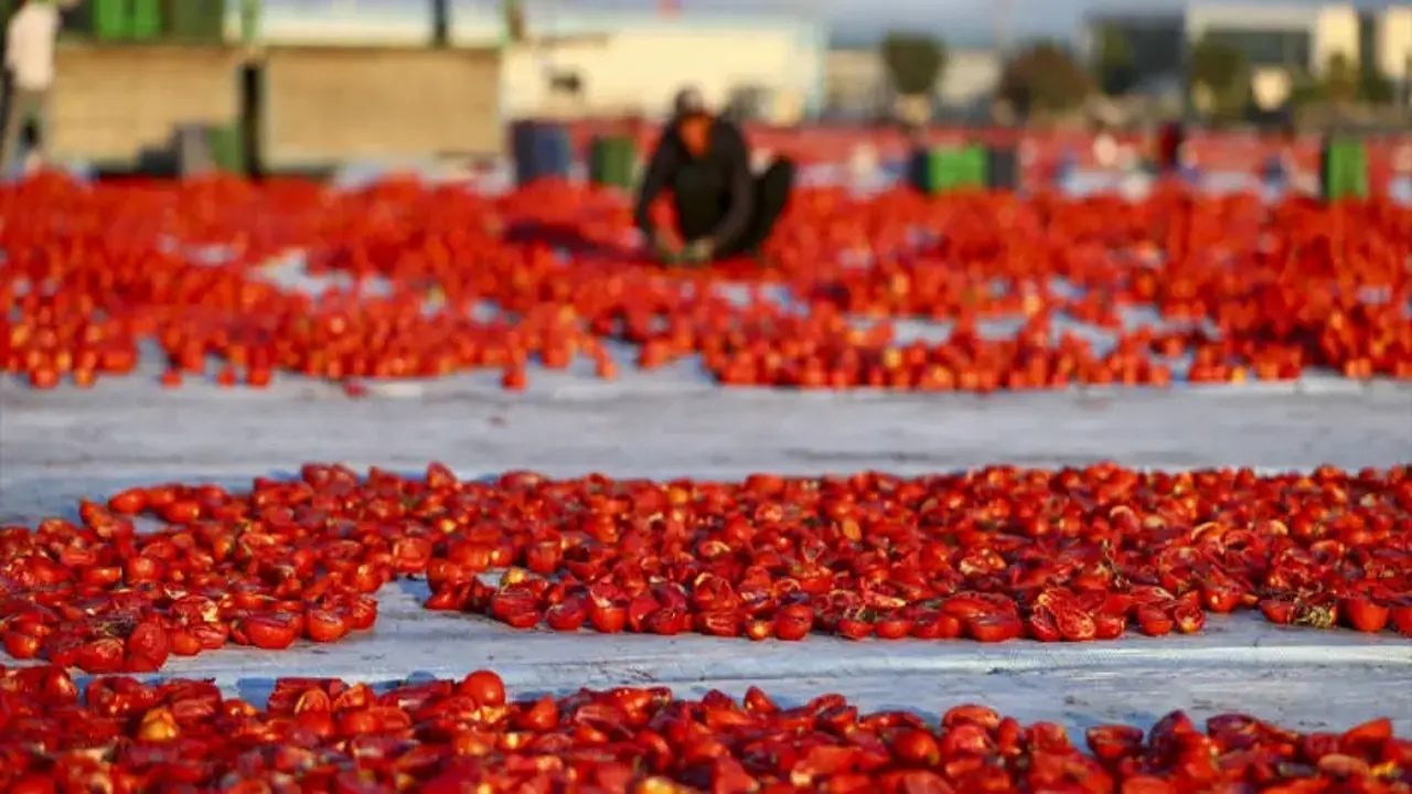 Türkiye’de kurutuluyor, dünyada baş tacı ediliyor! 91 ülkenin vazgeçilmezi oldu