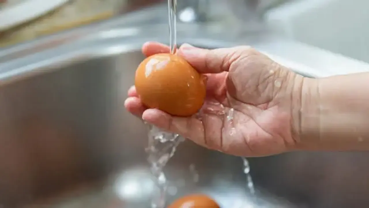 Yumurtada bu işareti görürseniz sakın almayın! Hemen yenisiyle değiştirin