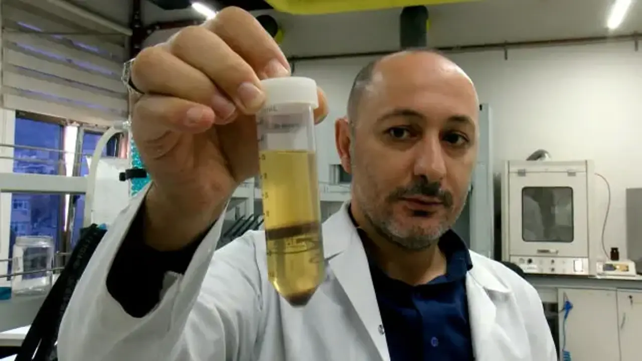Yem olarak kullanılıyordu değeri katlandı: Yüzde 80 protein içeren toza dönüşüyor